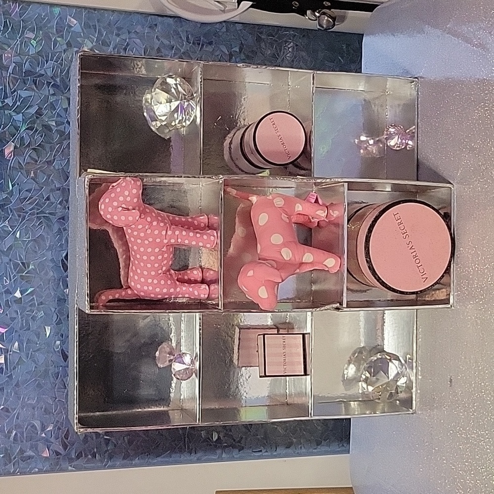 VS RARE HTF Bra Display, Prop Wall Decor Organizer Shelf Silver Glitter